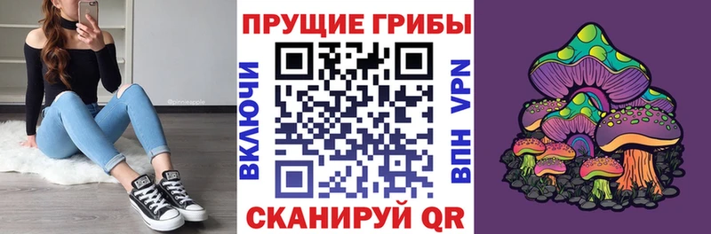 Псилоцибиновые грибы Psilocybine cubensis  Купить  Вельск 