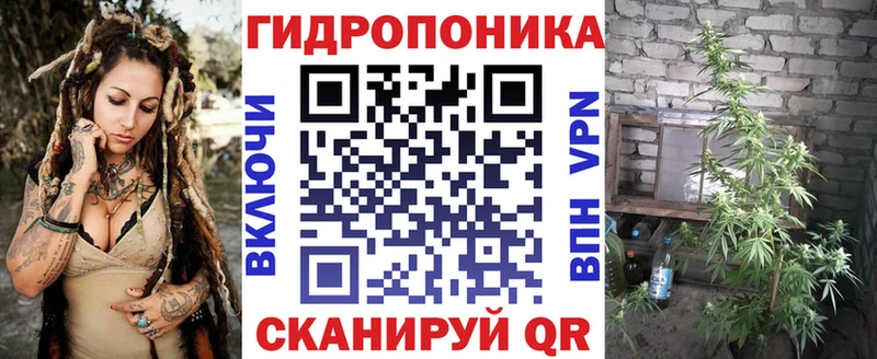 Конопля семена  Купить  Вельск 